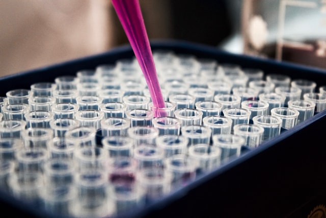 Diploma In Pharmacy